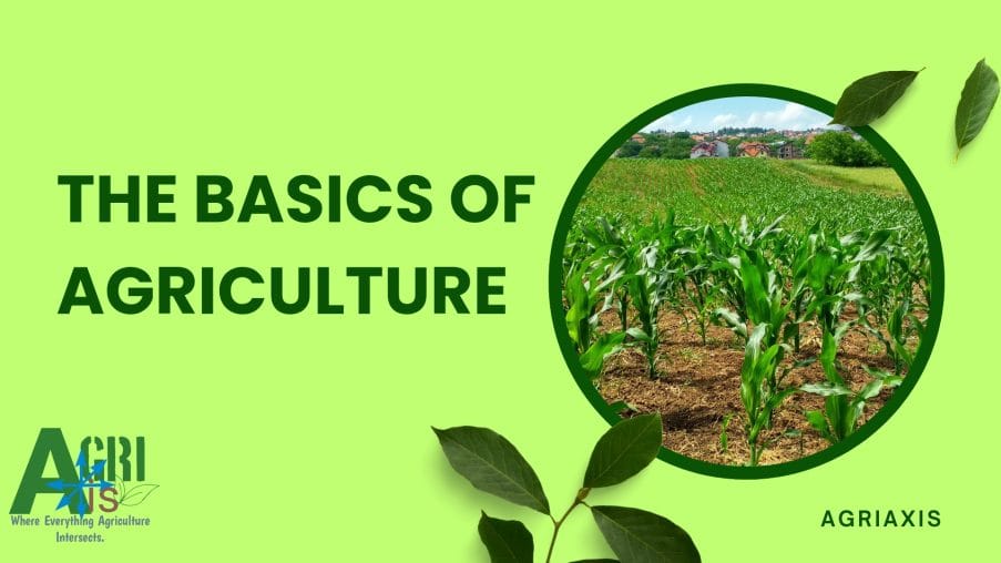 Green Gradient Agriculture Report Presentation 20250816 173021 0000 in The Basics of Agriculture