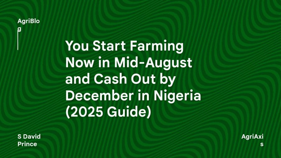 elcreative thumbnail 68801 in You Start Farming Now in Mid-August and Cash Out by December in Nigeria (2025 Guide)