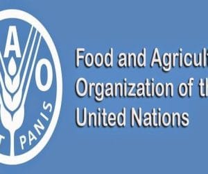 Nigeria Sits on N2.5 Trillion Agricultural Trade Deficit, FAO Tells Lagos Discourse