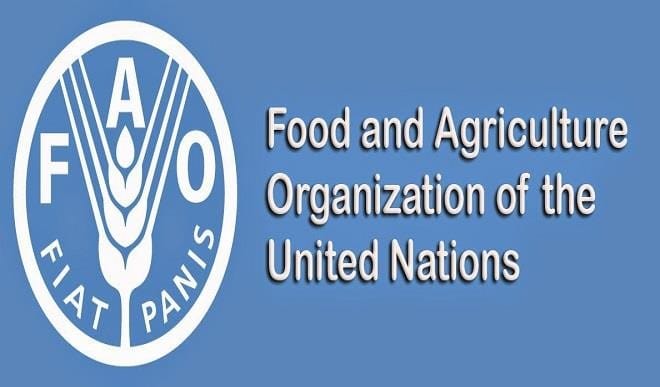 2017 1large FAO in Nigeria Sits on N2.5 Trillion Agricultural Trade Deficit, FAO Tells Lagos Discourse
