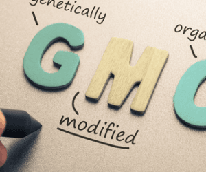 Can GMO Seeds Be Replanted? The Truth Farmers Need to Know