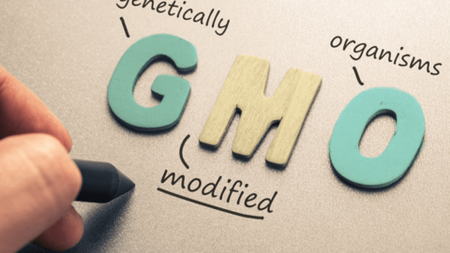 211070731d4a in Can GMO Seeds Be Replanted? The Truth Farmers Need to Know