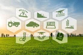 2d2e8777218e 1 in Nigeria Needs to Focus on Farming, Not Just Oil -TUC