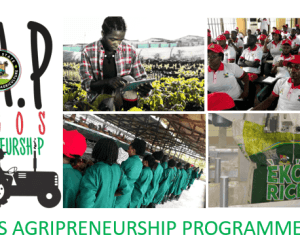 Lagos Agripreneurship Programme (L.A.P) – Applications Now Open!