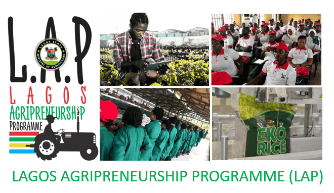 44ebaa8dd8e3 1 in Lagos Agripreneurship Programme (L.A.P) – Applications Now Open!