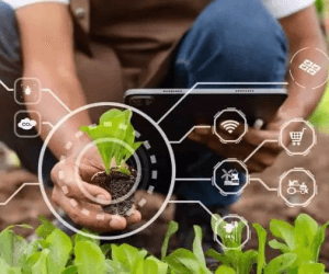 WOFAN, NGOs, Experts Urge Nigeria to Adopt Climate-Smart Farming