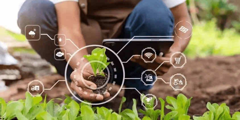 4cec5798f2ff in WOFAN, NGOs, Experts Urge Nigeria to Adopt Climate-Smart Farming