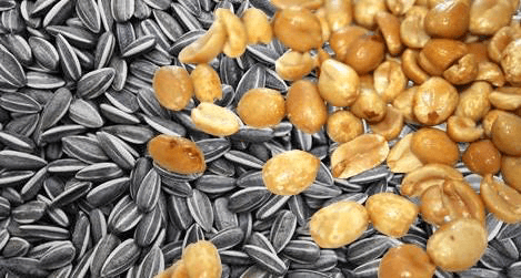 55832d1d3b61 1 in GMO vs Hybrid Seeds: Differences, Safety, and Best Choice for Farmers