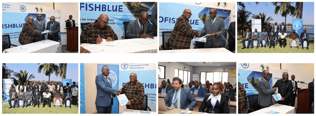 7cbe0d961552 in Zambia and Zimbabwe Partner to Protect and Grow Lake Kariba’s Economy