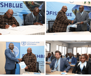 Zambia and Zimbabwe Partner to Protect and Grow Lake Kariba’s Economy