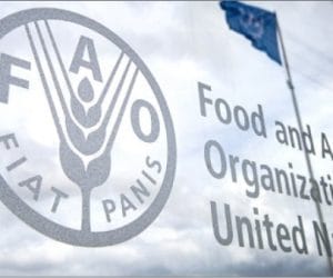 FAO Warns 35.7 Million Nigerians Face Hunger by August 2026