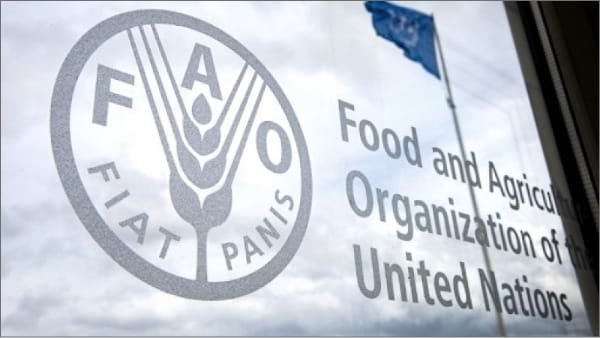 FAO in FAO Warns 35.7 Million Nigerians Face Hunger by August 2026
