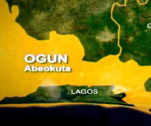 Ogun State Plans to Plant One Million Trees This Year