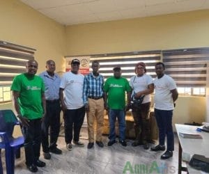 Private Capital Is Circling Iseyin’s Agric Hub. But It Won’t Land Until Oyo State Clears the Risks First
