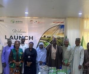 ActionAid Nigeria Has Trained 135,000 Smallholder Farmers in Climate-Resilient Agriculture
