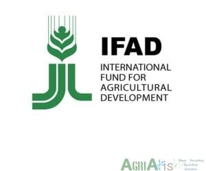 IFAD Opens Call for Implementing Partner on AgTech and FinTech Scale-Up Grant – Deadline May 13