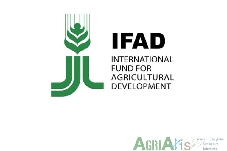 IFAD in IFAD Opens Call for Implementing Partner on AgTech and FinTech Scale-Up Grant – Deadline May 13