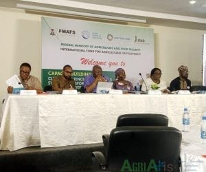 Nigeria, IFAD Begin Climate Finance Training for VCN States as Programme Moves to Implementation