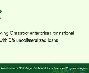GEEP : FG’s Zero-Interest Loan for Smallholder Farmers (Ongoing)