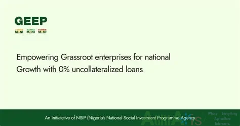 OIP 1 in GEEP : FG's Zero-Interest Loan for Smallholder Farmers (Ongoing)