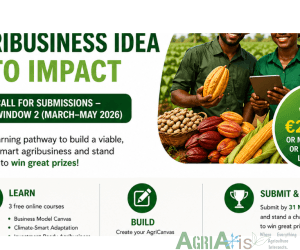Win €2,000 or Free Mentorship: How Nigerian Agripreneurs Can Enter the ABF Agri Canvas Competition 2026