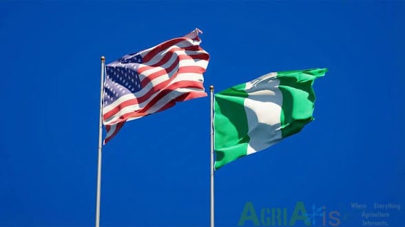 images 1 11 in U.S. Report Flags Nigeria's Livestock and Feed Trade Opportunities in 2026 Investment Plan