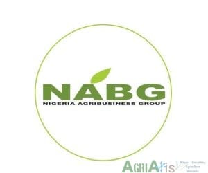 Nigeria’s Food Problem Is Not Production. It’s Affordability, Says NABG President