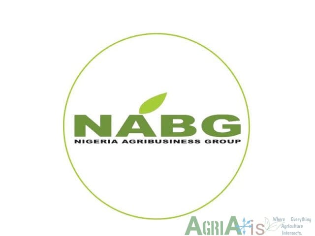 images 1 16 in Nigeria's Food Problem Is Not Production. It's Affordability, Says NABG President