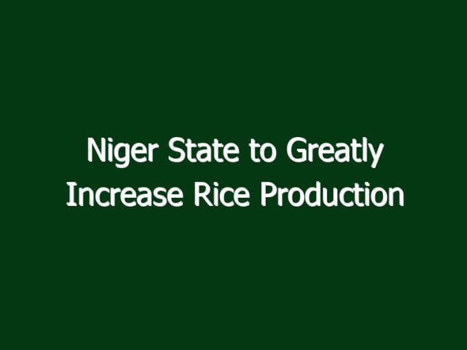 niger state to greatly increase rice production 2795 884f2 in Niger State to Greatly Increase Rice Production
