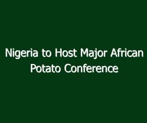 Nigeria to Host Major African Potato Conference in 2028
