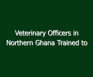 Veterinary Officers in Northern Ghana Trained to Boost Animal Health