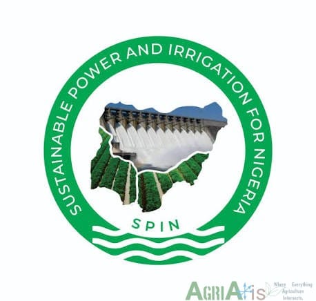 Spin project logo